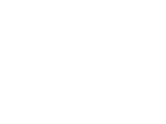 vantiv